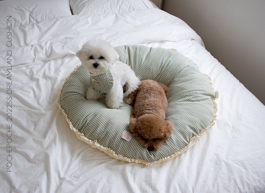 Dreamland Cushion