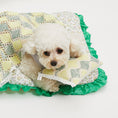 Load image into Gallery viewer, Summer Knit Mini Pillow
