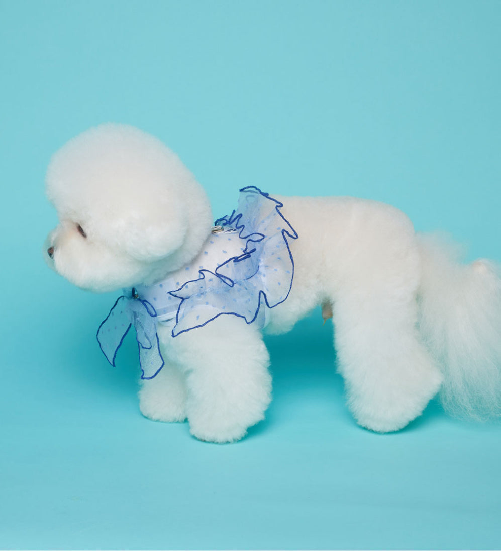 [READY STOCK] Lagoon Harness