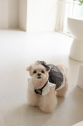 Load image into Gallery viewer, Petals In Watercolor Hanbok Bustier Skirt 2025 New Colours
