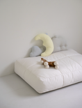 Load image into Gallery viewer, Soft House Cushion
