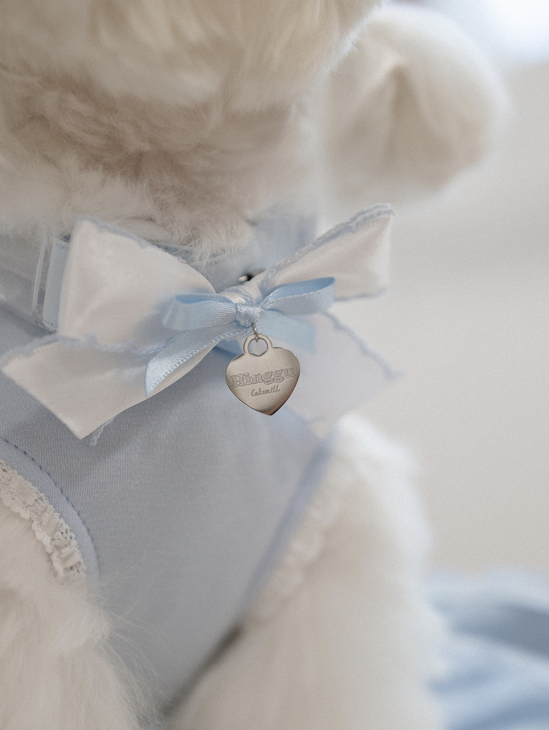 My Favorite Color Collar - Baby Blue