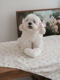Load image into Gallery viewer, Rose Smoothie Double-Sided Lace Blanket
