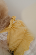 Load image into Gallery viewer, Jambon Beurre Bustier
