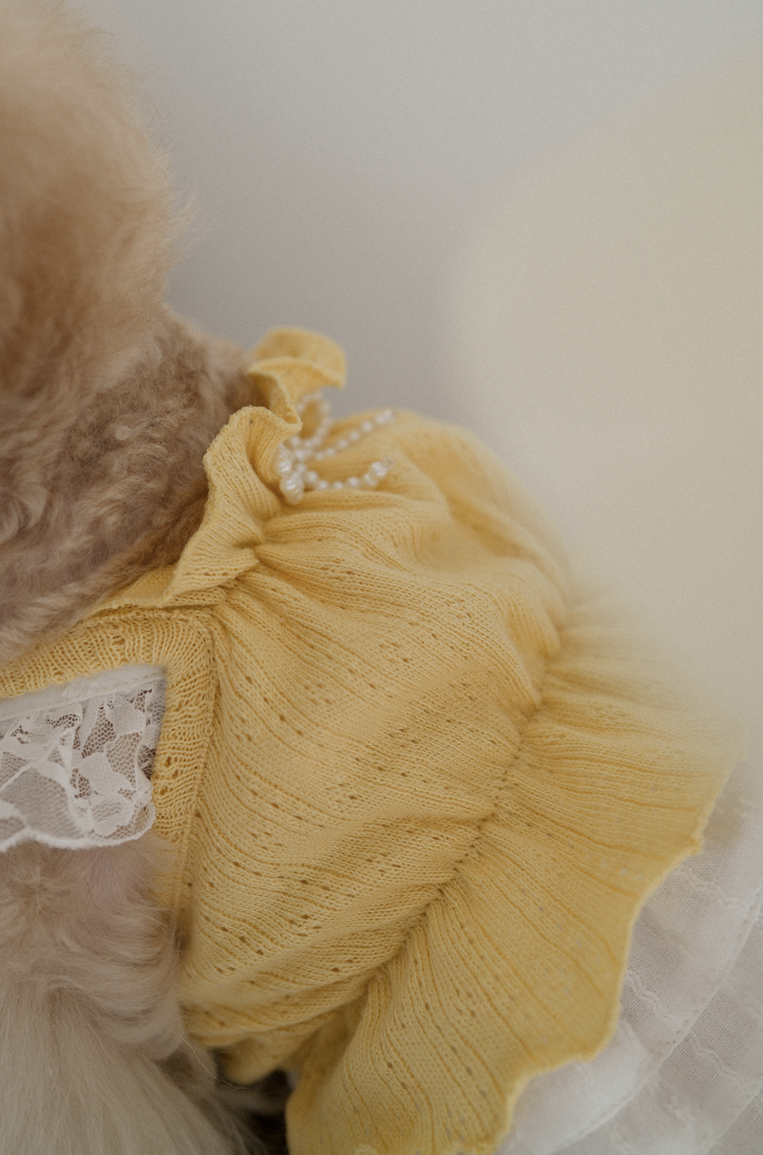 Jambon Beurre Bustier