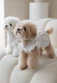 Load image into Gallery viewer, Baekhwa Hanbok Blouse
