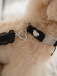 Load image into Gallery viewer, My Favorite Color Collar - Black
