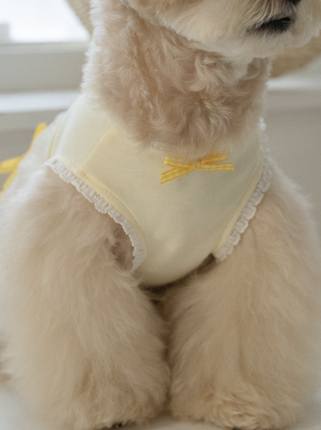 My Favorite Color Ops - Yellow