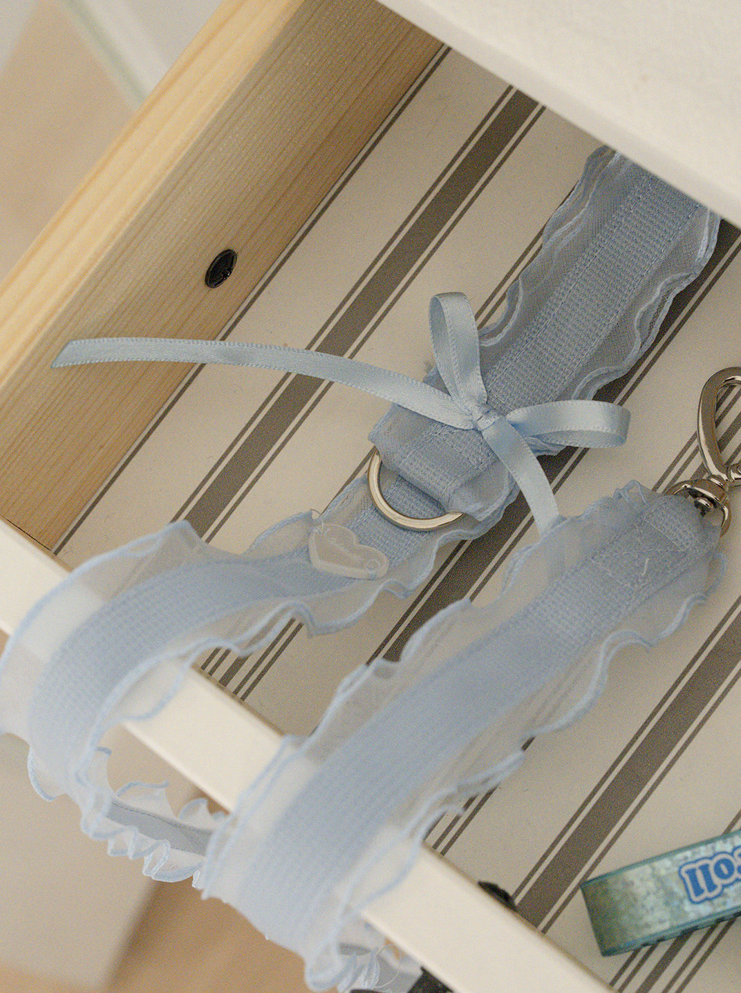 My Favorite Color Leash - Baby Blue