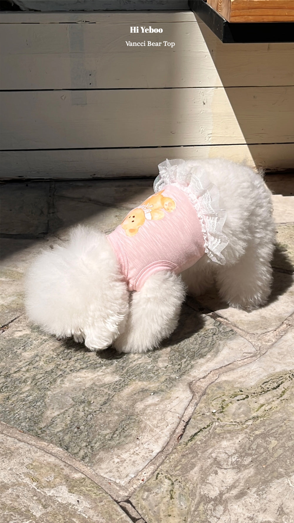 Vancci Bear Top - Pink