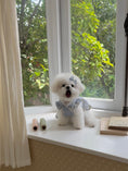 Load image into Gallery viewer, Bona Ribbon Ops - Blue
