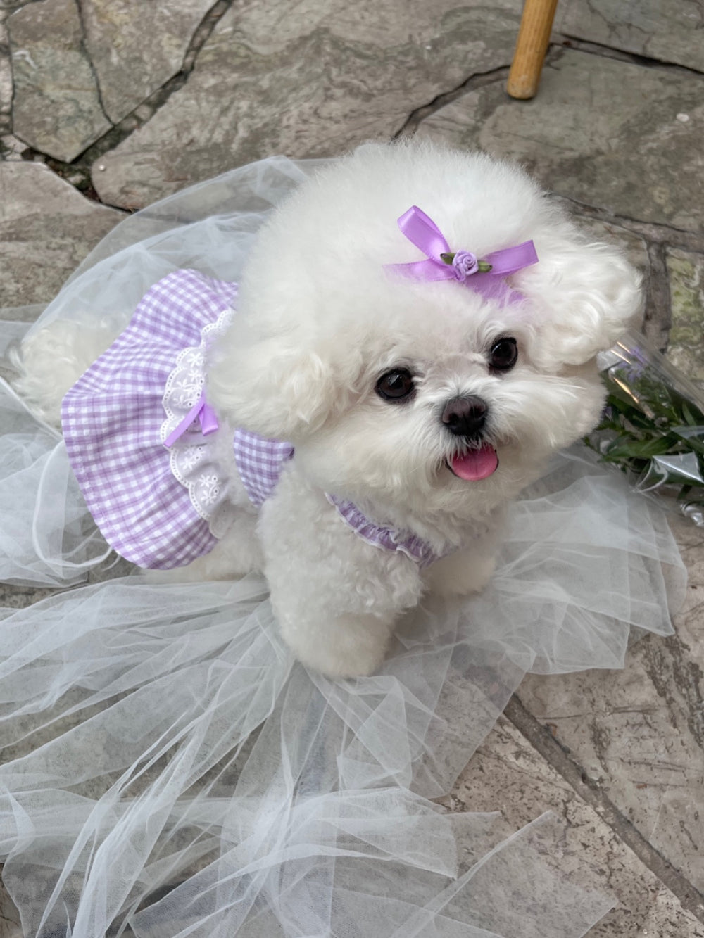 Margot Check Ops - Purple