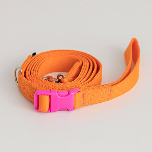 Candy Crayon Leash