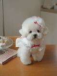 Load image into Gallery viewer, Ballerina Lace Ribbon Hairpin
