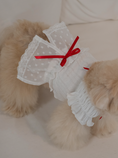 Load image into Gallery viewer, White Ballerina Chiffon Skirt
