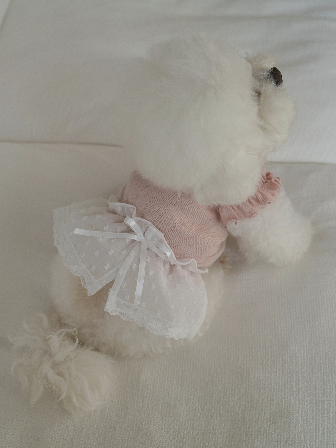 Pink Ballerina Chiffon Skirt