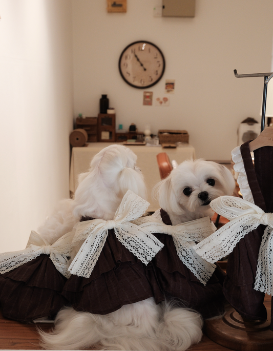 Cocoa Ribbon Dress