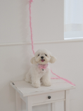 Load image into Gallery viewer, My Favorite Color Collar - Pink
