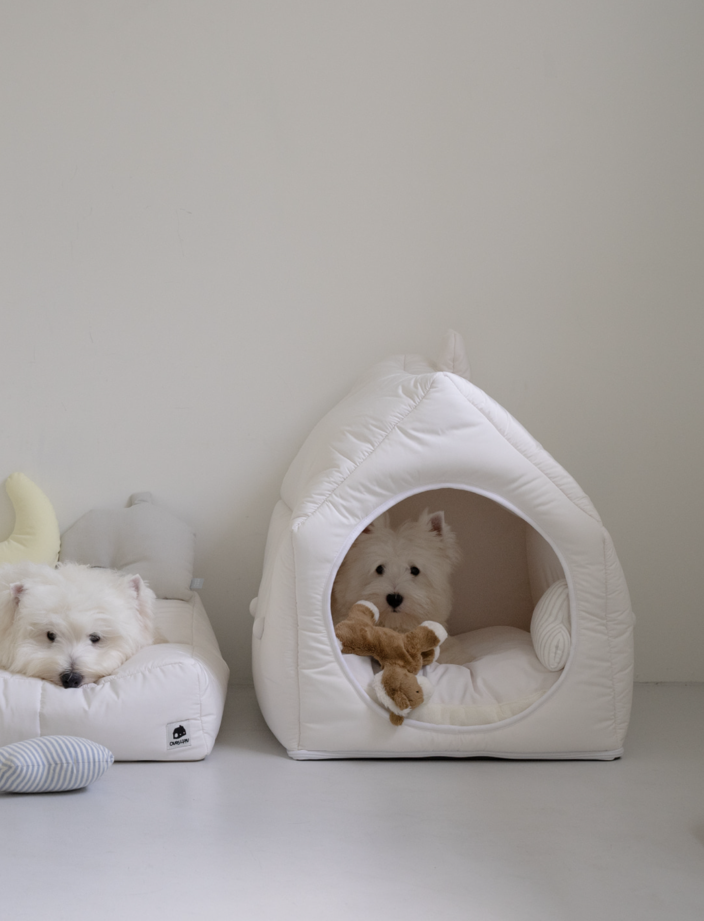 Informal House White