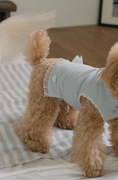 Load image into Gallery viewer, My Favorite Color Sleeveless - Baby Blue
