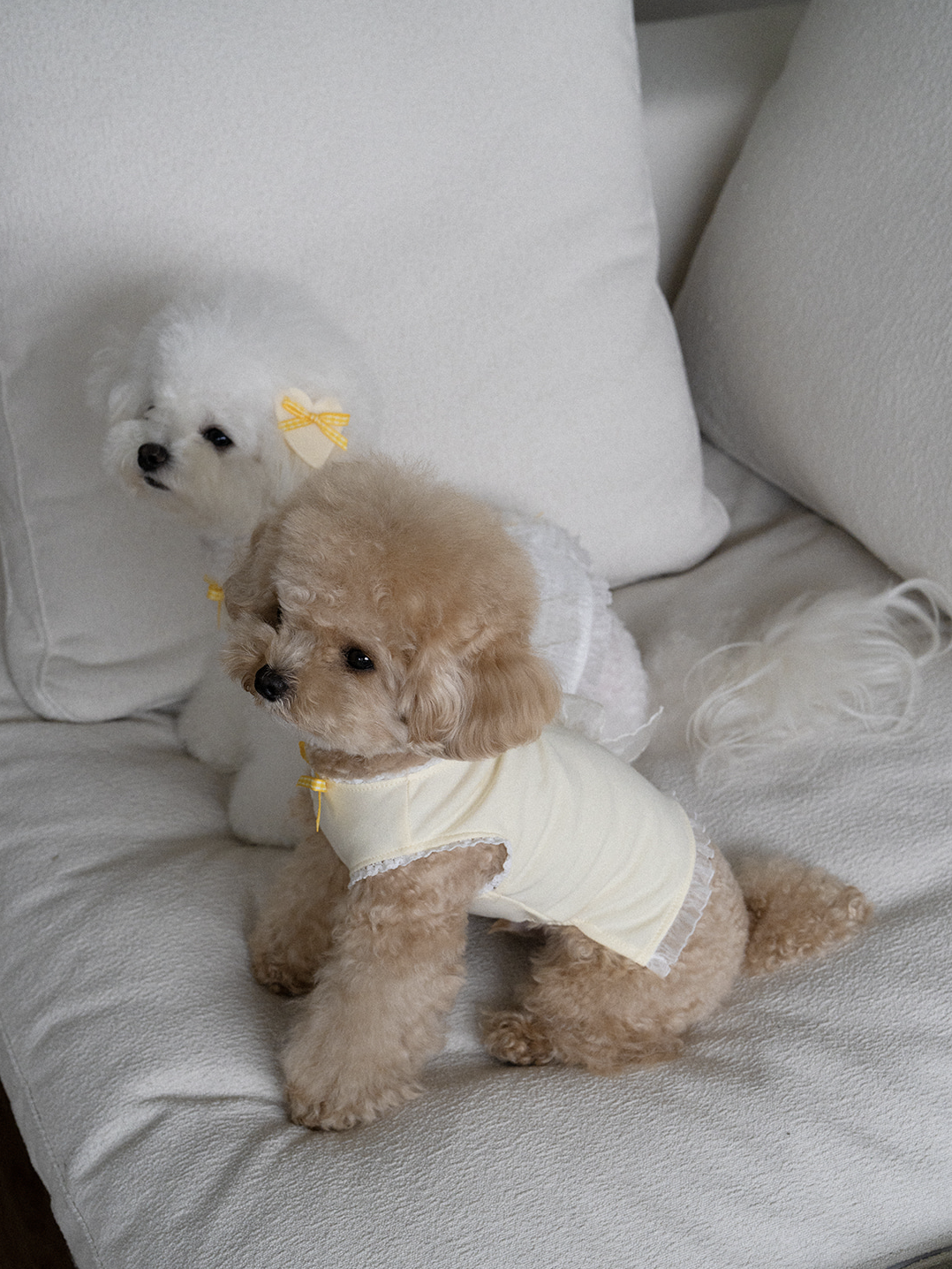 My Favorite Color Sleeveless - Yellow