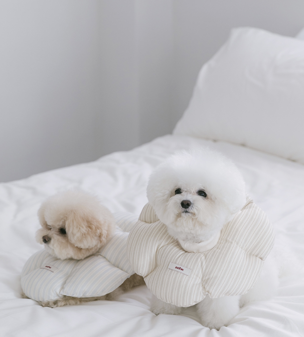 SSFW Cloud Neck Collar