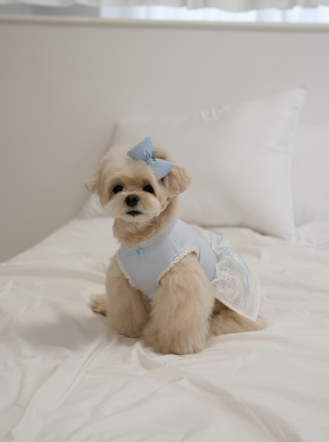 My Favorite Color Ops - Baby Blue