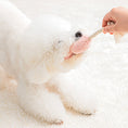 Load image into Gallery viewer, BonBon Green Furry Friends Rope Tug Toy
