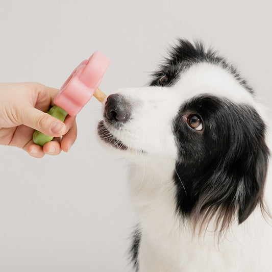 Easy Bite Grip (Swallow-Proof Snack Holder)