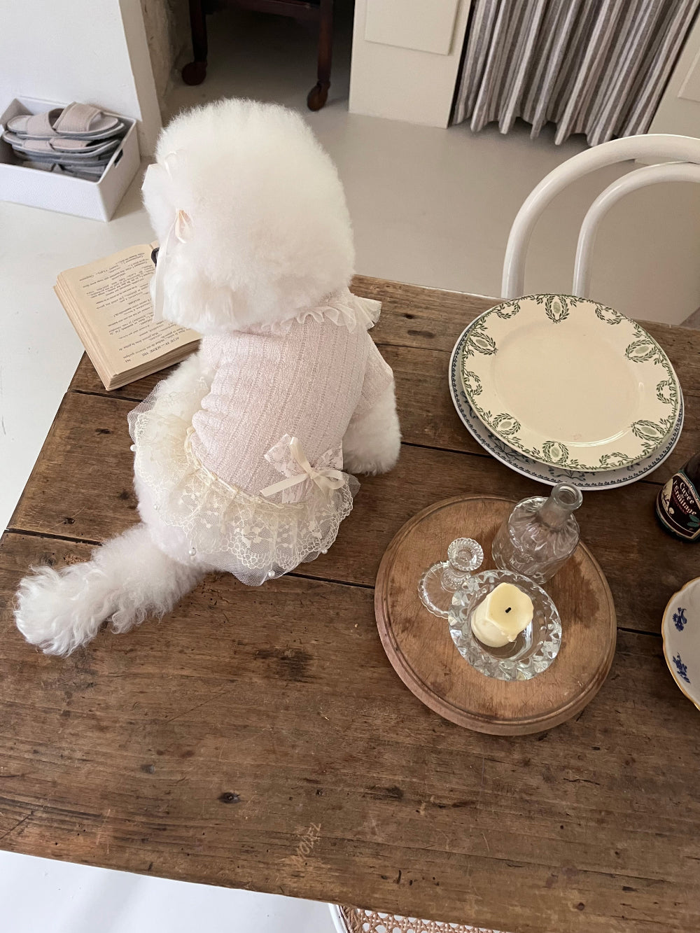 Iris Cape Collar Ops - Ivory