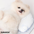 Load image into Gallery viewer, Ice Bear Duraron Cool Pillow
