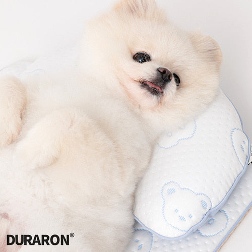 Ice Bear Duraron Cool Pillow