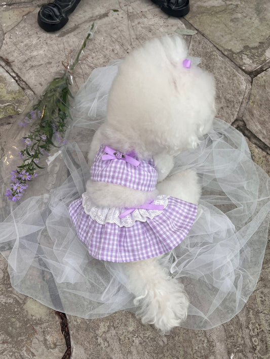 Margot Check Ops - Purple