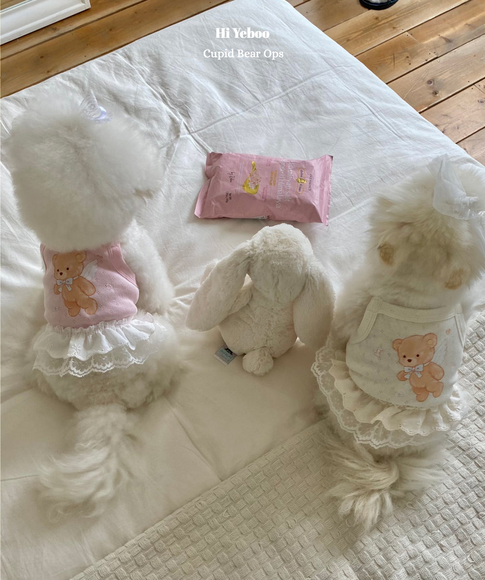 Cupid Bear Ops