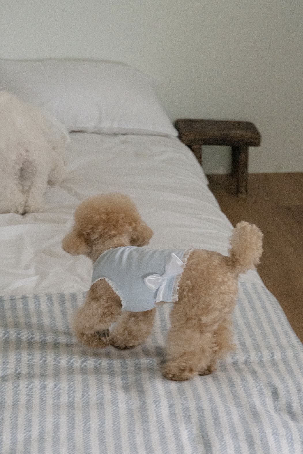 My Favorite Color Sleeveless - Baby Blue