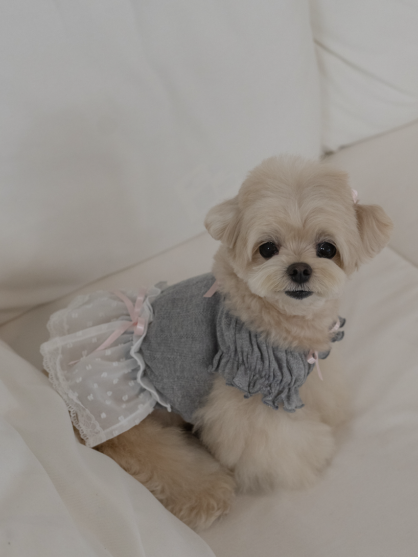 Gray Ballerina Chiffon Skirt