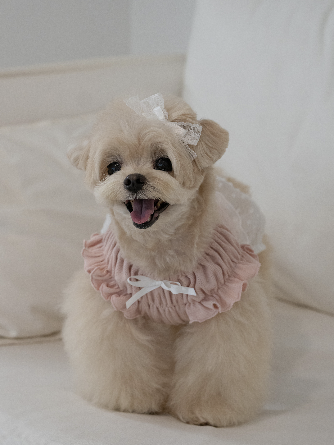 Pink Ballerina Chiffon Skirt