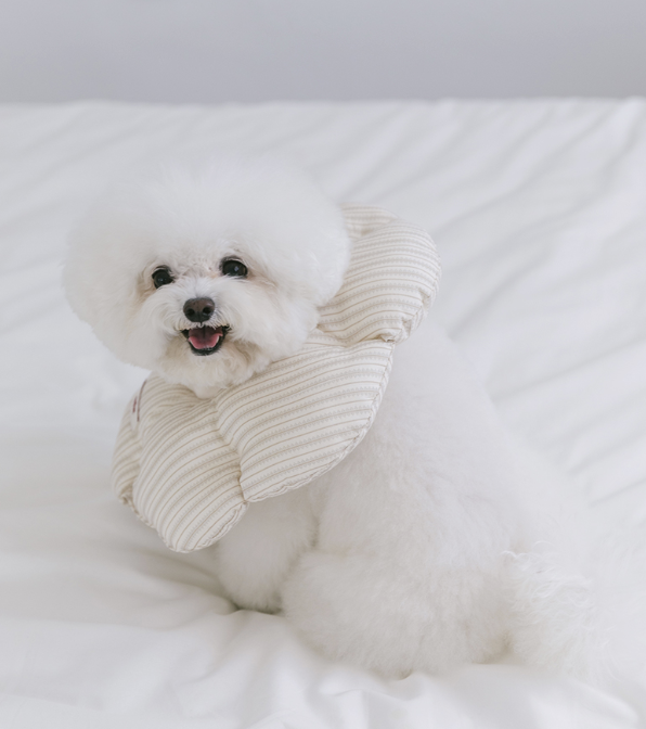 SSFW Cloud Neck Collar