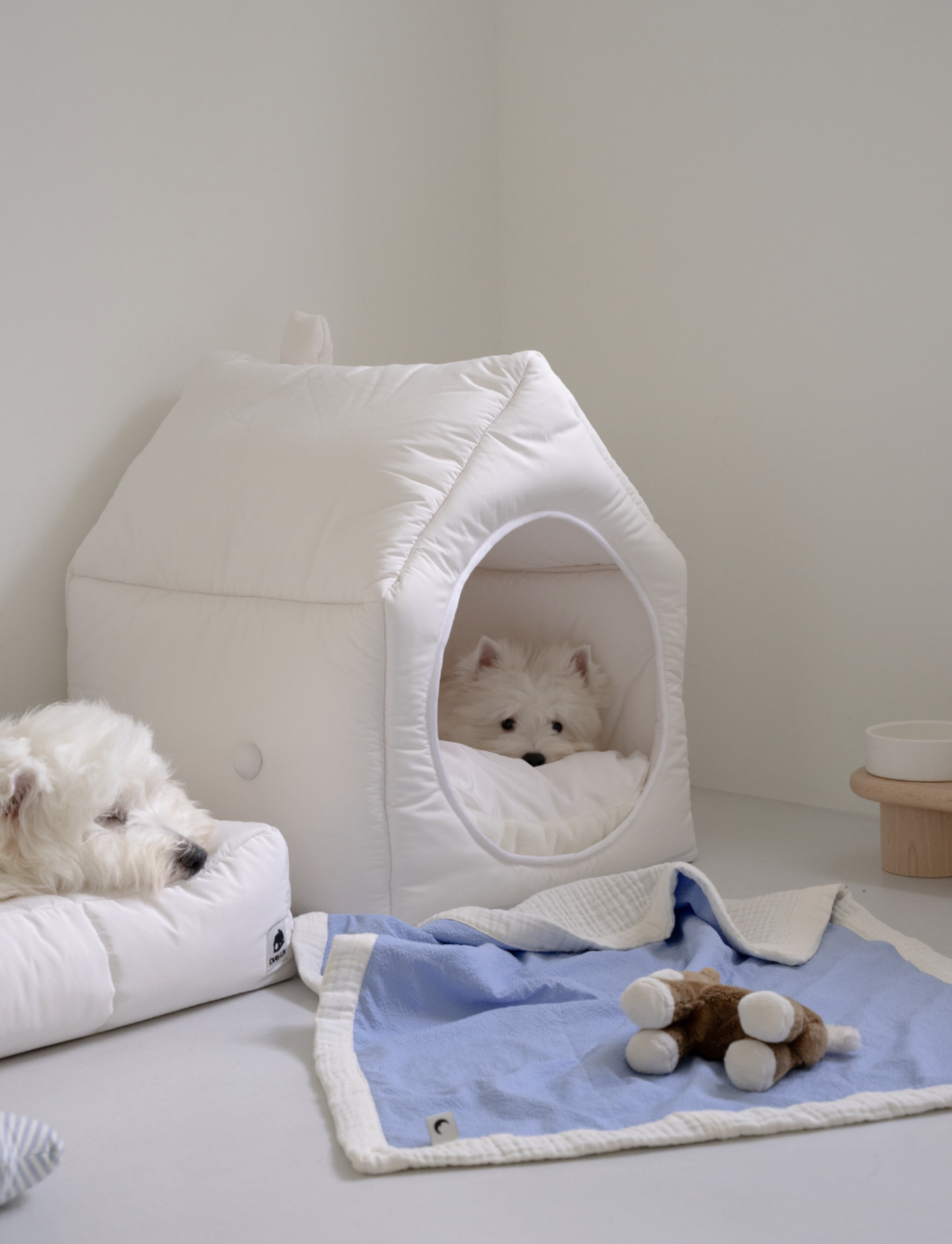 Informal House White