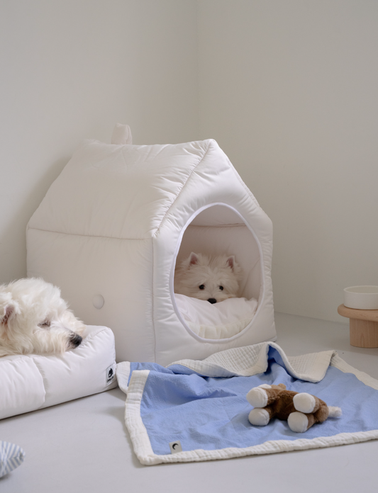 Informal House White