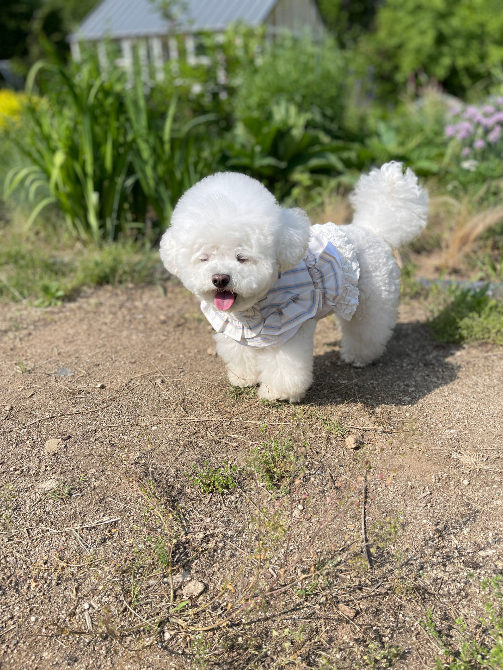 Day Harness