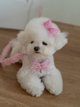 Load image into Gallery viewer, My Favorite Color Collar - Pink
