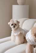 Load image into Gallery viewer, Baekhwa Hanbok Blouse
