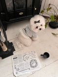 Load image into Gallery viewer, York Hoodie

