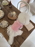 Load image into Gallery viewer, Iris Cape Collar Ops - Pink
