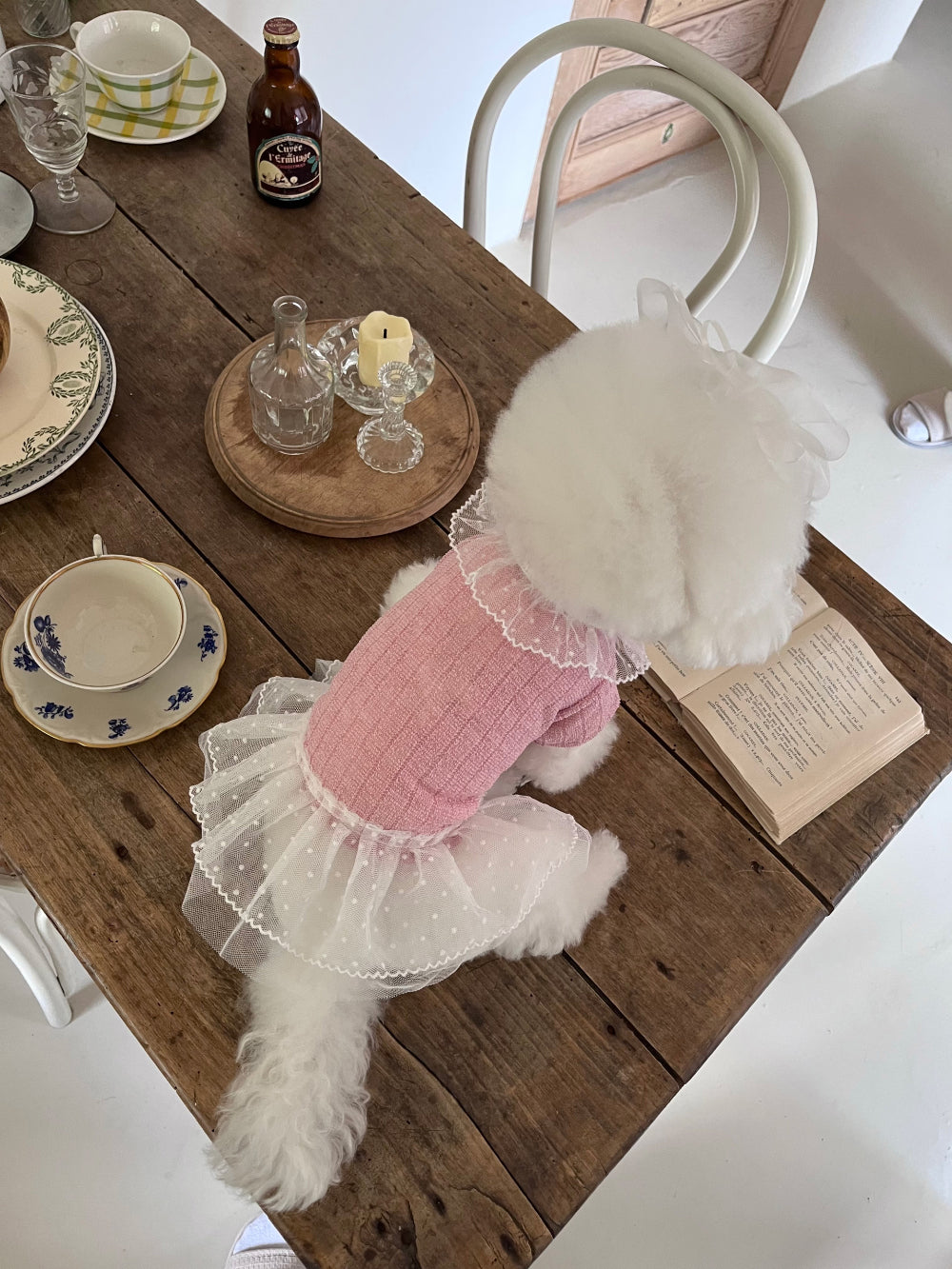 Iris Cape Collar Ops - Pink