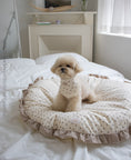 Load image into Gallery viewer, Dreamland Cushion
