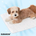 Load image into Gallery viewer, Ice Bear Duraron Cool Mat

