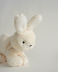 Load image into Gallery viewer, Buddy Toy

