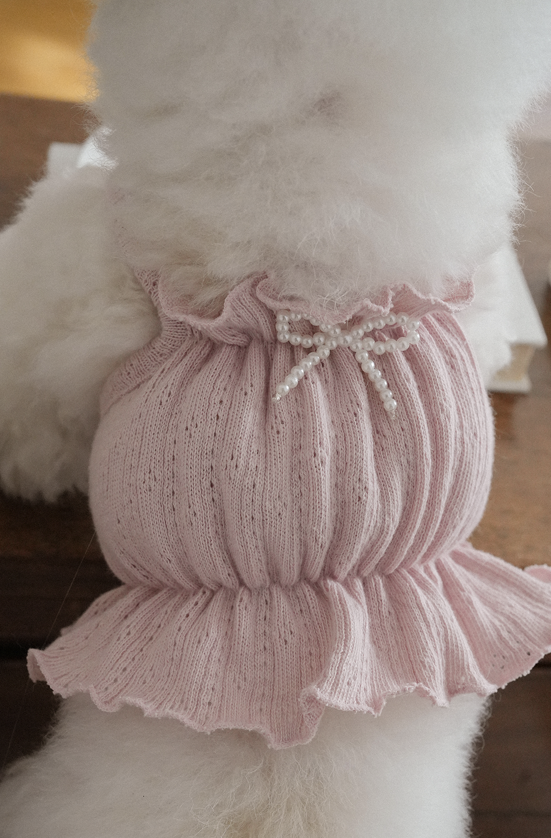 Jambon Beurre Bustier